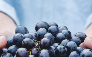blueberries-credit-unsplash